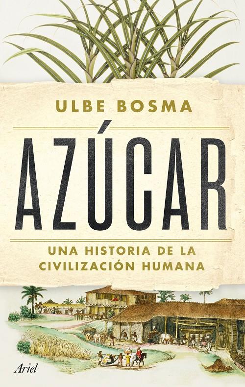 AZÚCAR | 9788434438286 | BOSMA, ULBE