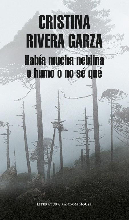 HABÍA MUCHA NEBLINA O HUMO O NO SÉ QUÉ (MAPA DE LAS LENGUAS) | 9788439732761 | RIVERA GARZA, CRISTINA