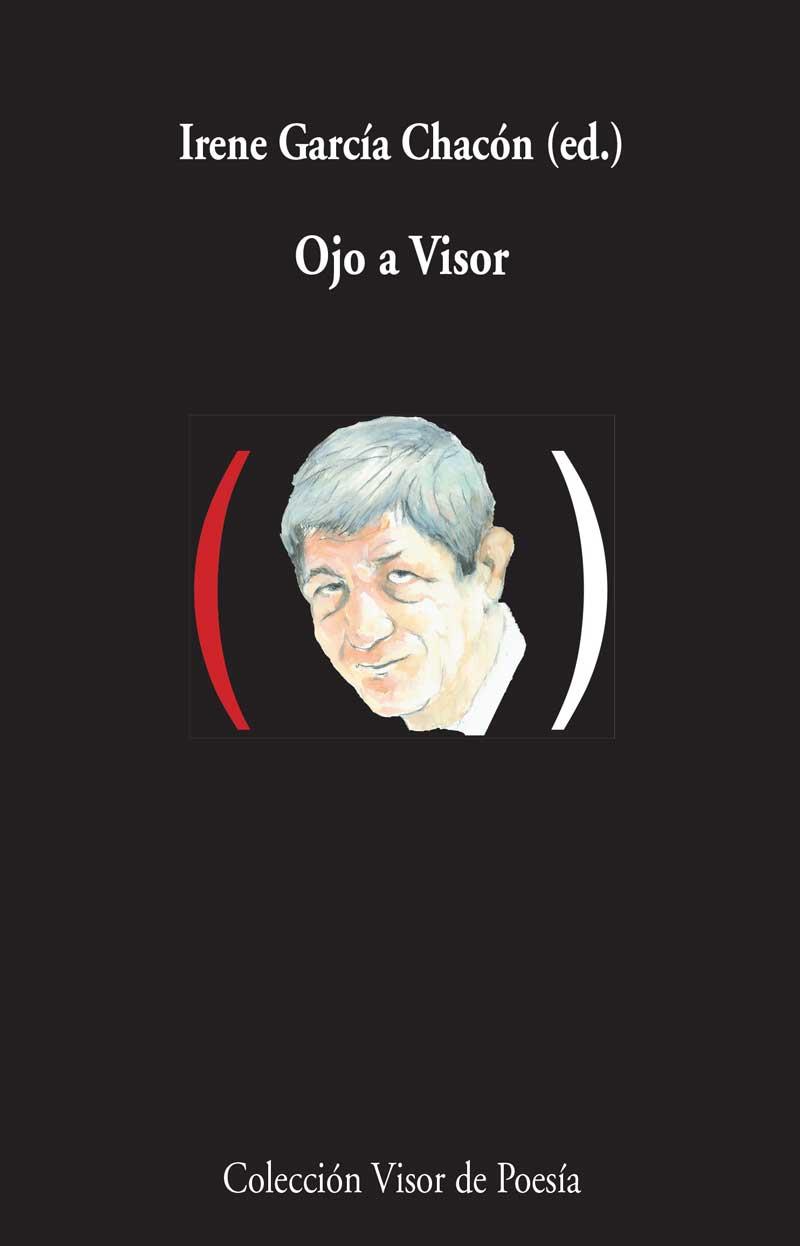 OJO A VISOR | 9788498959000 | GARCÍA CHACÓN, IRENE