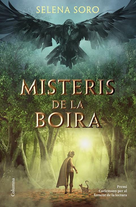 MISTERIS DE LA BOIRA | 9788466426619TA | SORO, SELENA