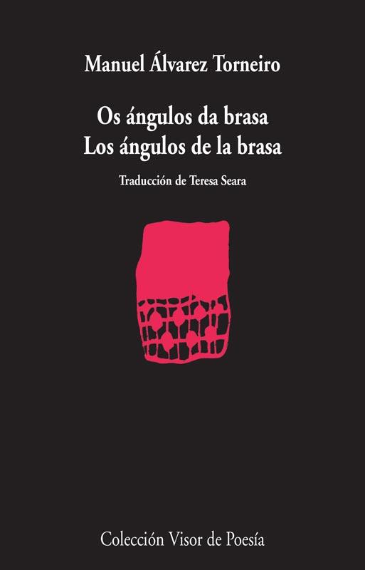 OS ÁNGULOS DA BRASA. LOS ÁNGULOS DE LA BRASA | 9788498958560 | ÁLVAREZ TORNEIRO, MANUEL