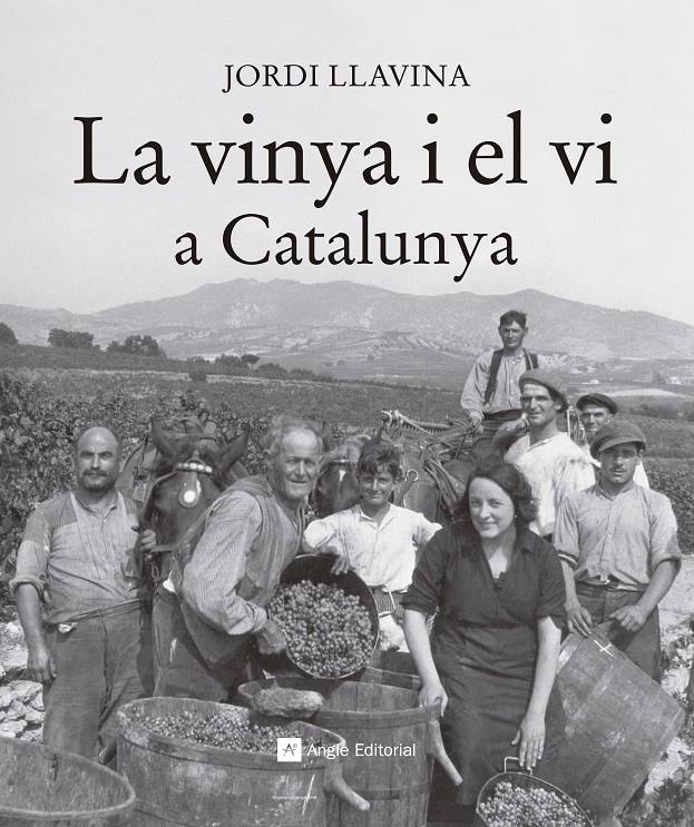 VINYA I EL VI A CATALUNYA, LA | 9788416139187 | LLAVINA, JORDI