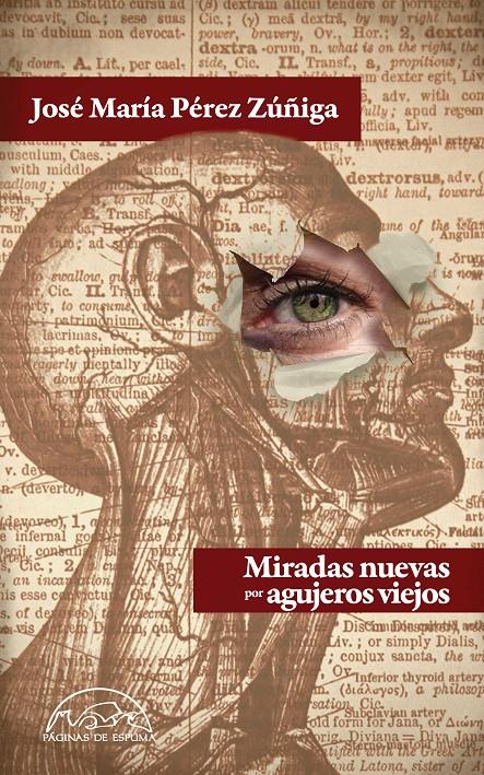 MIRADAS NUEVAS POR AGUJEROS VIEJOS | 9788483931554 | PÉREZ ZÚÑIGA, JOSÉ MARÍA