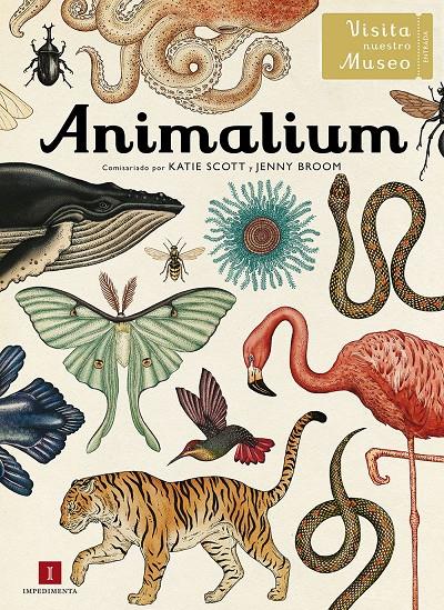 ANIMALIUM | 9788415979463 | SCOTT, KATIE / BROOM, JENNY